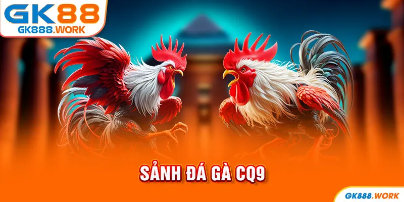 Sảnh đá gà CQ9